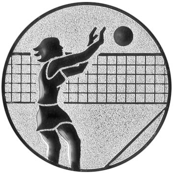 volleyball Emblem 2.SMR32