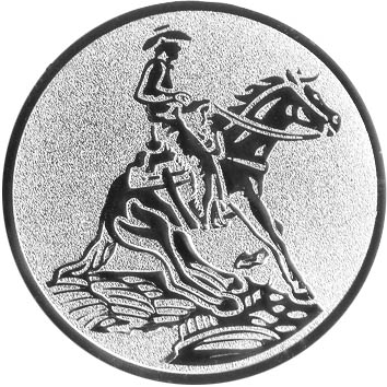 reiten Emblem 2.LFZSP