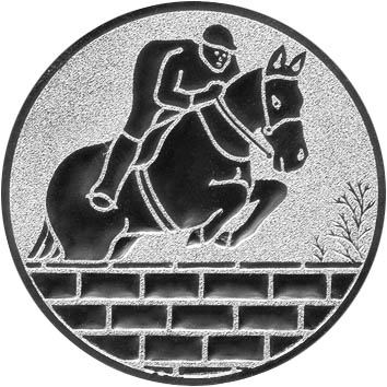 reiten Emblem 2.DKVCX