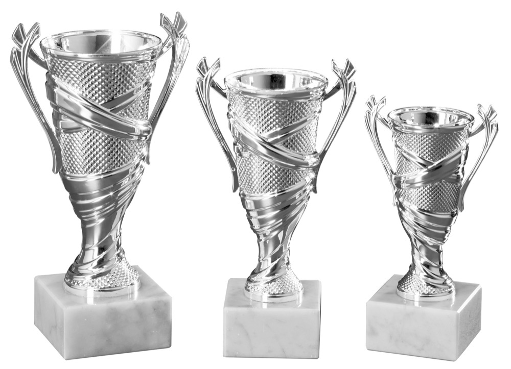 Pokal Silber