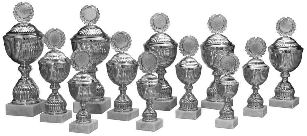 Silberfarbener Pokal mit strukturiertem Kelch