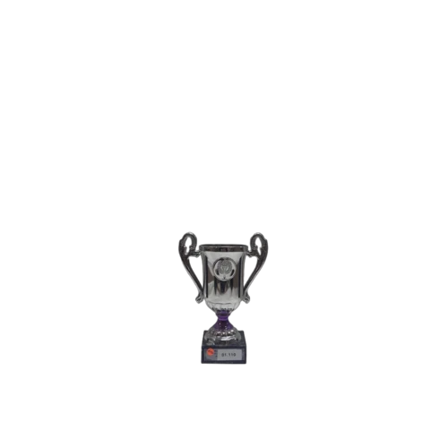 3er Pokalserie 1.110