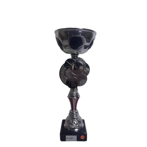 5er Pokalserie 1.237