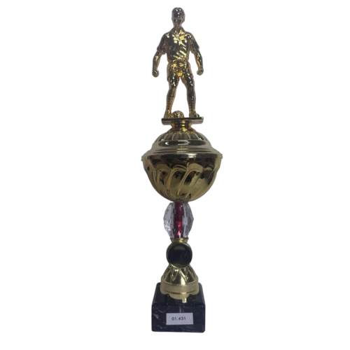 6er Pokalserie 1.431