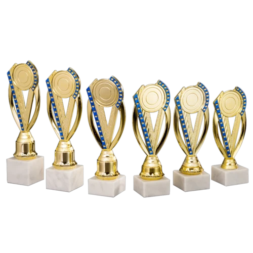 6er Pokalserie 6VV4HX