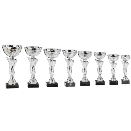 8er Pokalserie AOIZHV